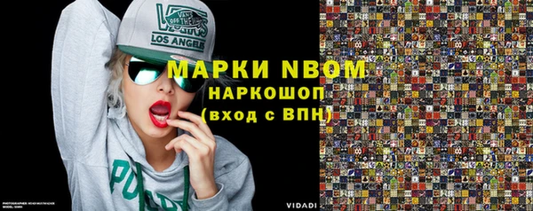 прущие грибы Баксан
