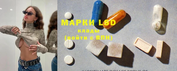 прущие грибы Баксан